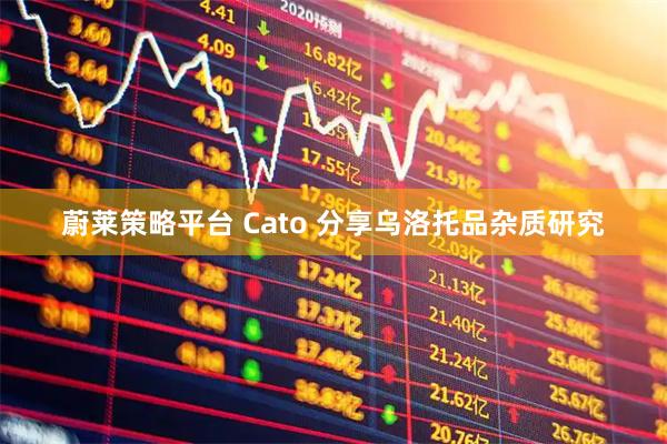 蔚莱策略平台 Cato 分享乌洛托品杂质研究