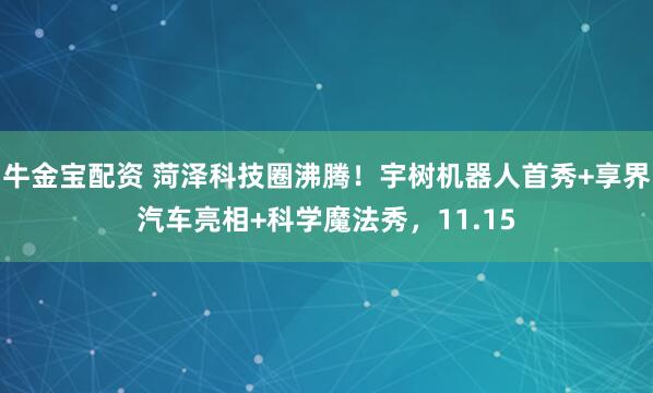 牛金宝配资 菏泽科技圈沸腾！宇树机器人首秀+享界汽车亮相+科学魔法秀，11.15